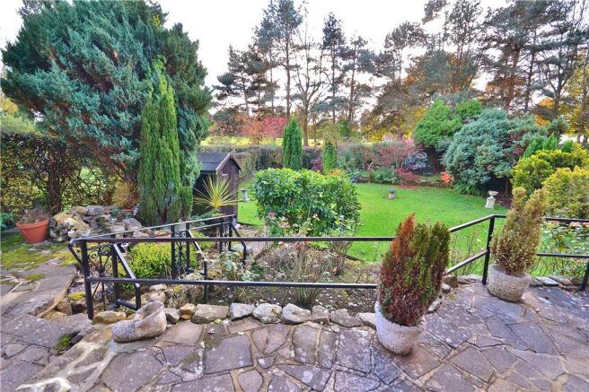 Rear Garden 2