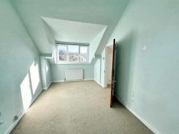 IMG_8241.jpg