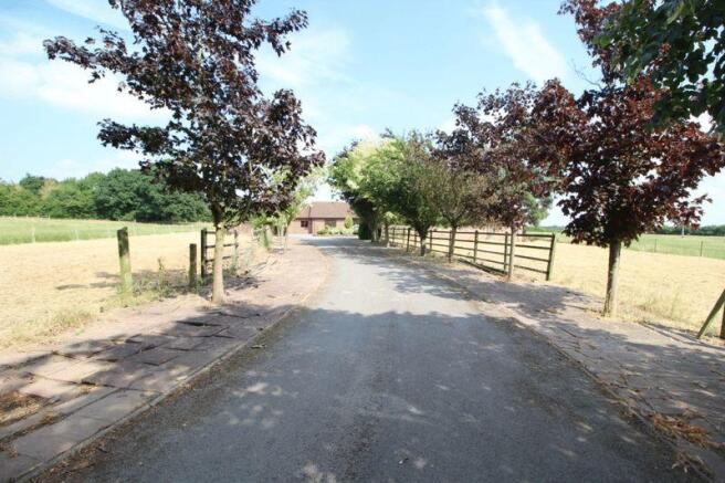 Driveway