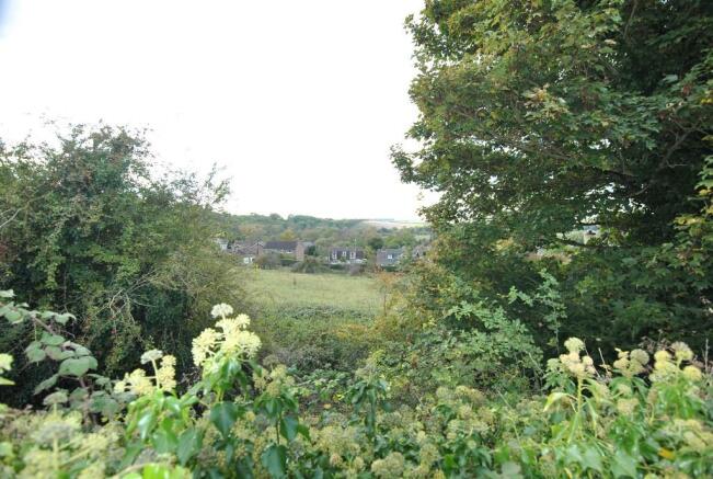 View from garden