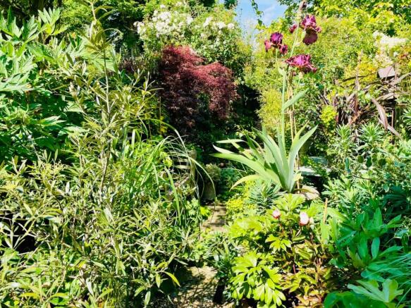Garden In Bloom