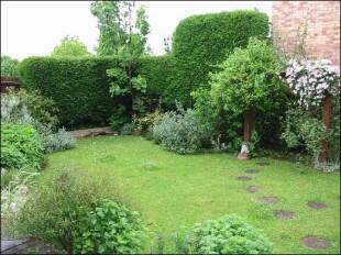 The garden