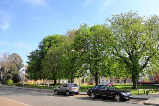 Grounds