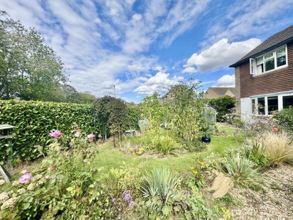 Front garden 2