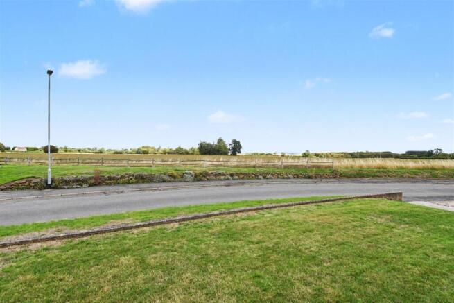 Open Field Views