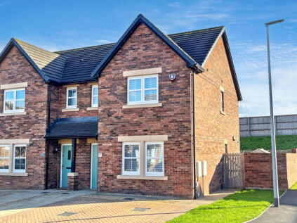 Stein Grove, Acklam