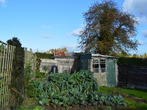 Photo 20