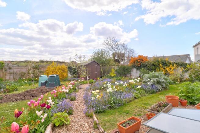 Rear garden ii.jpg