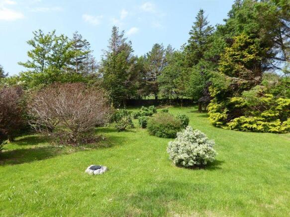 Photo 14