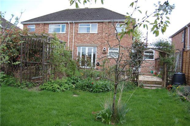 Rear from garden