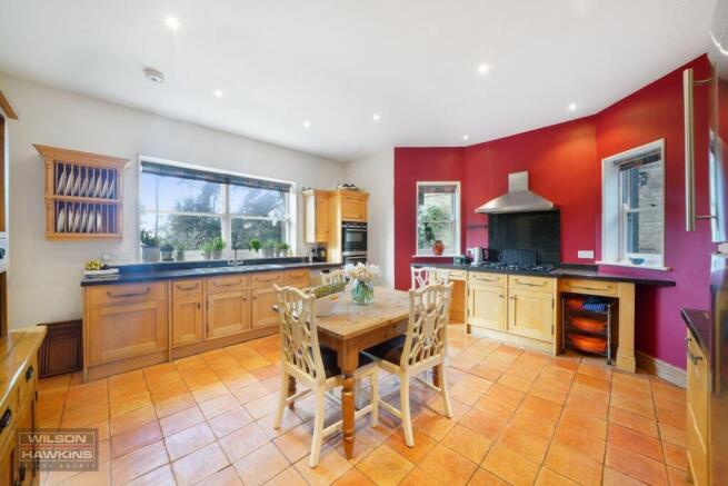 Holm Oak, Mount Park Avenue - yCQOd9gOnP02hnUf5Qo5