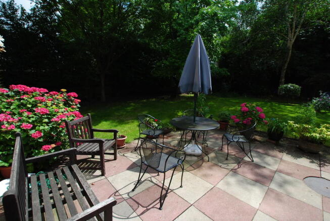 Photo 6
