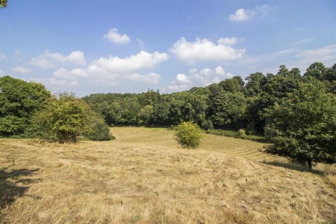 Paddocks & View.jpg