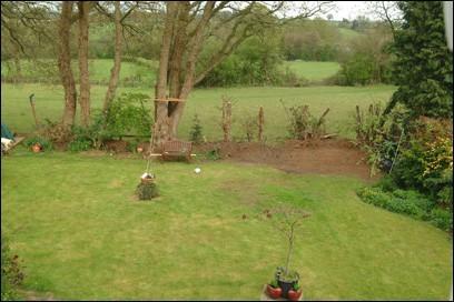Another garden shot