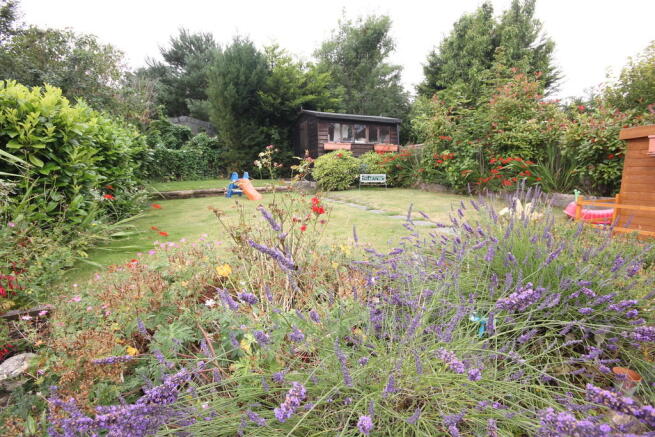 garden 1