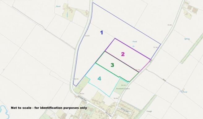 Brown Caldecott Plan edged.jpeg