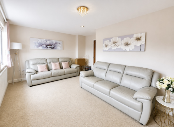 Living Room /Bedroom