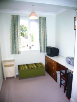Photo 8