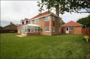 Rear Elevation 2