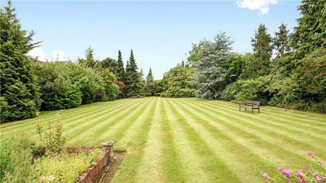 Garden 3
