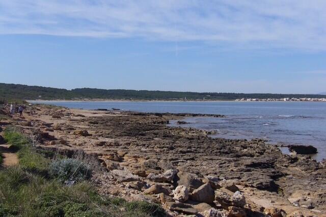 Plot in first seafront