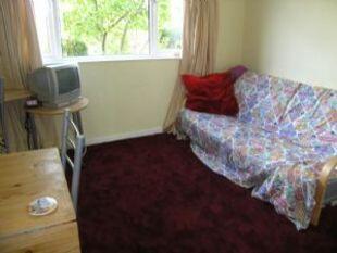 Reception 2