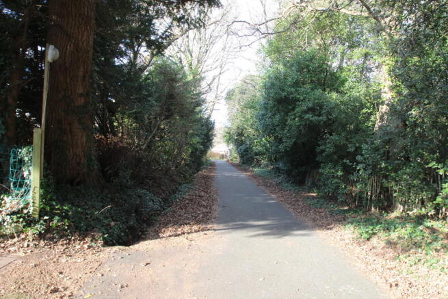 Local photos