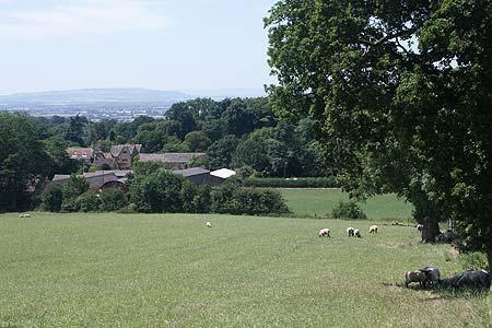 The Cotswolds