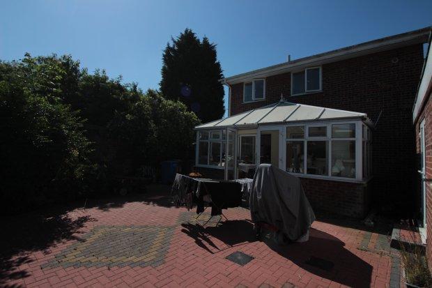 Back Garden 