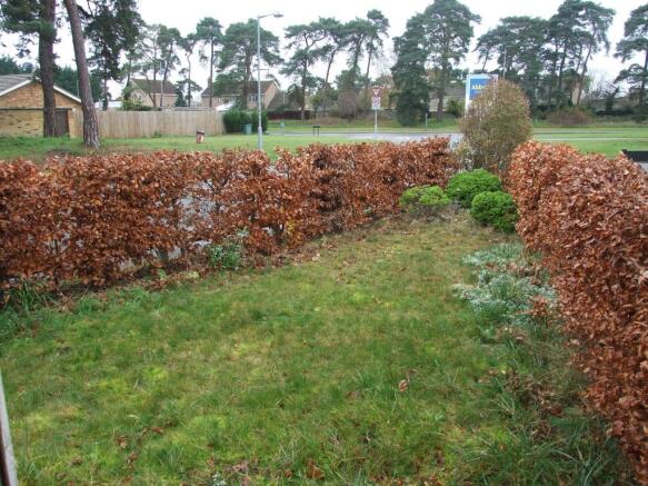 Front Garden