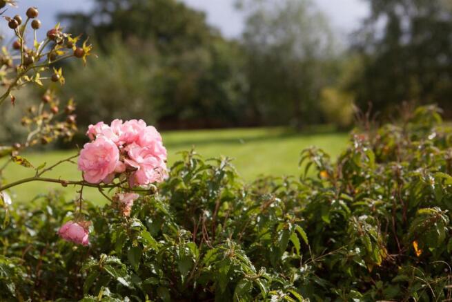 gardens