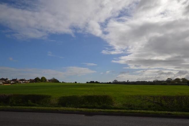 DSC_0035.JPG