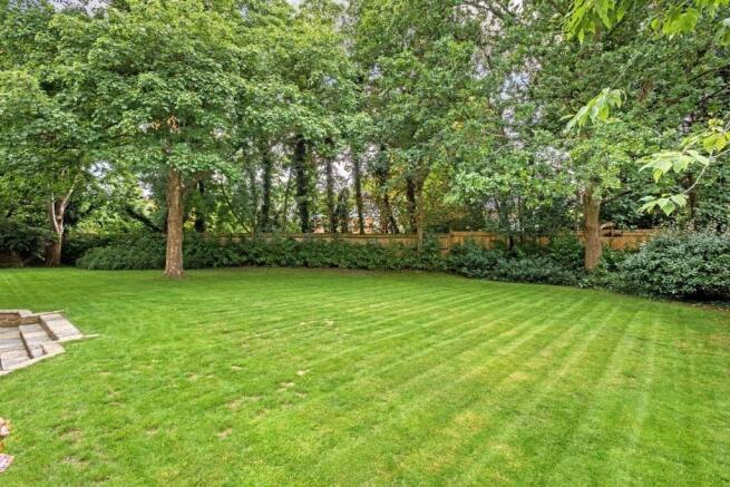 Back Garden