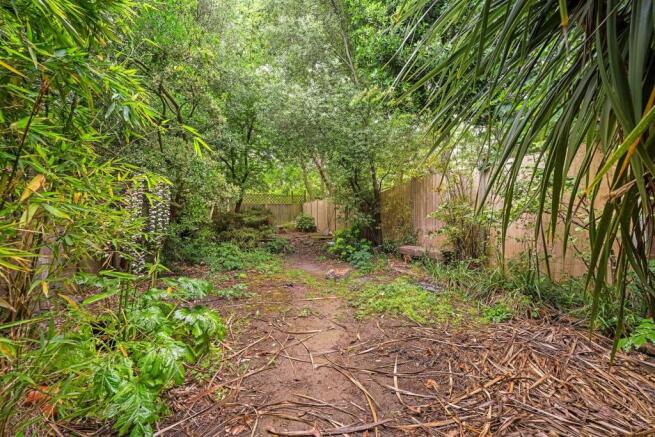 Garden (2).JPG