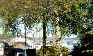 Harbour view