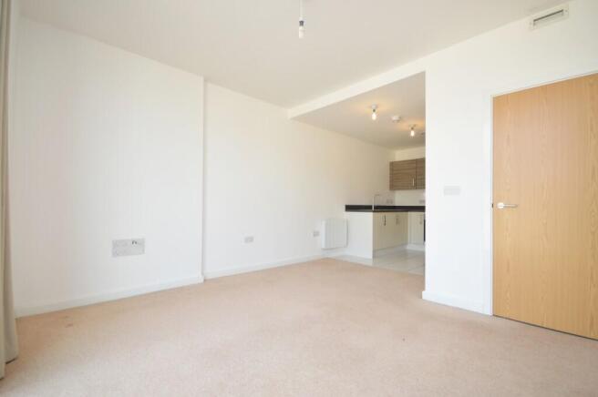 Kitchen/Living Room