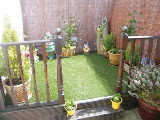 Rear Garden Area