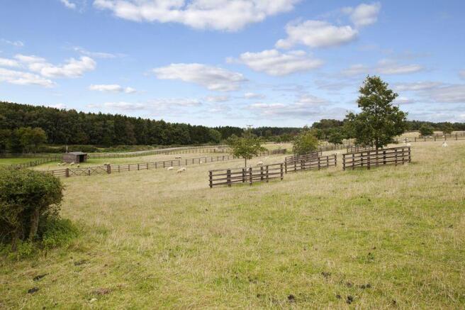 Paddocks