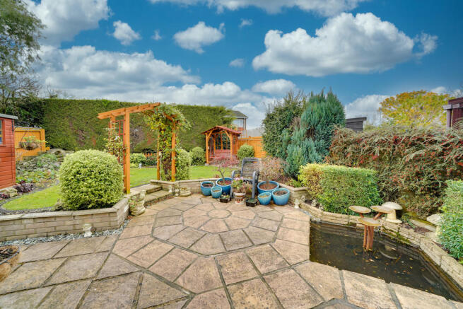 Back Garden 2