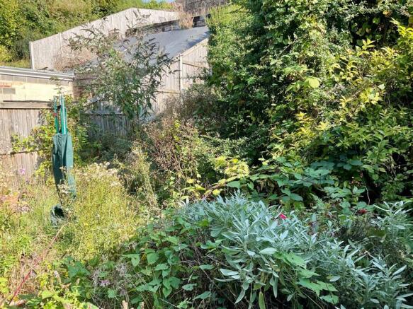 garden.jpg