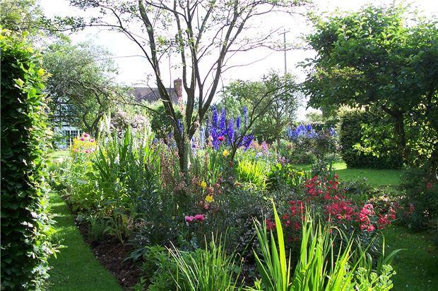 Garden in Bloom