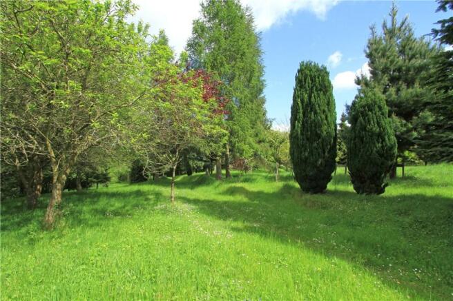 Woodland Garden