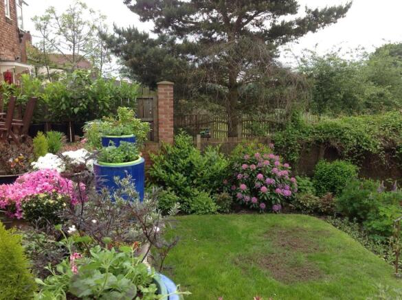 Garden 3.jpg