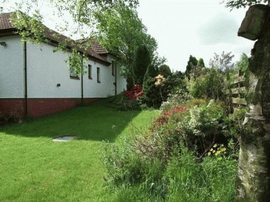 SIDE GARDEN