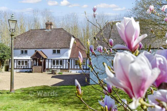 External Lifestyle Photograph