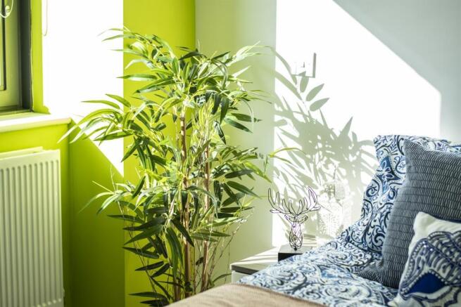 1 bed Apartment to rent Image 11
