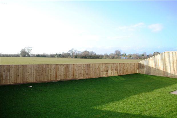 Rear garden / view