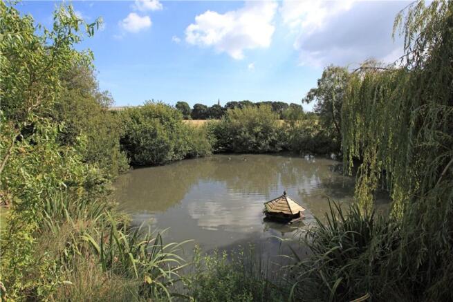 Pond