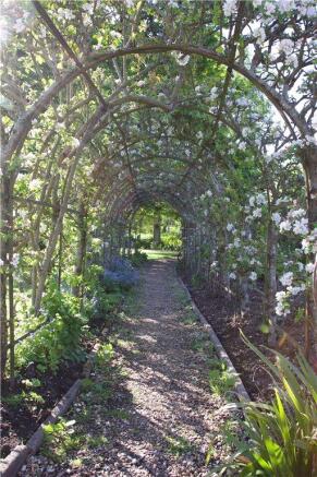 Pergola Walkway