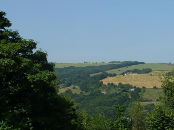 SURROUNDING VIEWS